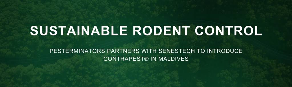 Blog one pest management Contrapest by pesterminators maldives